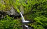 Ponytail Falls Stock Photo