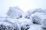 Wind Painted Snow Texture Pattern On Stone Background, Winter Background Stock Photo