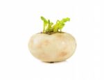 Mini White Turnips Isolated On White Stock Photo