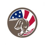 Republican Elephant Mascot Usa Flag Stock Photo