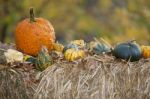 Pumpkins On Hay Stock Photo