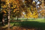 Autumn Scene In The Parco Di Monza Italy Stock Photo