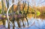 Crystal Ball Reflecting Autumn Forest With Tree Trunks Stock Photo