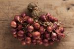 Shallots Still Life Wood Background Stock Photo