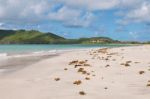 Deserted Beach At Vieux Fort Stock Photo