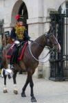 London - July 30 : Kings Troop Royal Horse Artillery In Whitehal Stock Photo