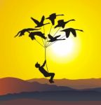 Flying Swans With Boys And Sunset Stock Photo