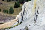 Orange Spring Mound At Mammoth Hot Springs Stock Photo