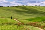 View Of The Scenic Tuscan Countryside Stock Photo