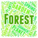 Forest Word Representing Woods Copse And Woodlands Stock Photo