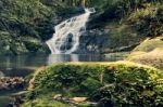 Kondalilla Falls In Kondalilla Falls National Park Stock Photo