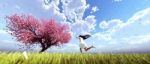 Girl Running On The Field To Sakura Tree Flower Stock Photo