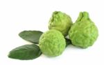 Kaffir Limes Stock Photo