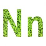 English Alphabet Made From Green Grass On White Background Stock Photo