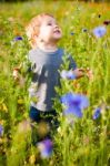 Cute Small Boy At The Flower Field Of Flowers Stock Photo