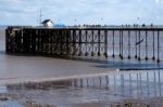 Cardiff Uk March 2014 - View Of Penarth Pier Stock Photo