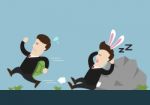 Turtle Businessman Is Running And Rabbit One Is Sleeping In Running Competition Stock Photo