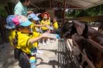 Kindergarten Students Visit The Zoo, In The Jul 15, 2016. Bangkok Thailand Stock Photo