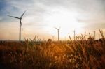 Grass In Wind Turbine Farm Stock Photo