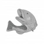 Cutthroat Trout Jumping Drawing Stock Photo