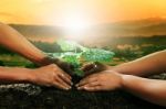 Human Hand Planting Young Plant Together On Dirt Soil Against Be Stock Photo