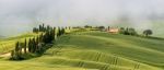 Val D'orcia, Tuscany/italy - May 22 : Scenery Of Val D'orcia In Stock Photo