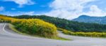 Curve Road On A Mountain Stock Photo