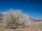 Snow Capped Mountains, Blue Sky, Desert Landscape Stock Photo