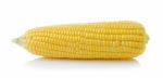 Corn Isolated On White Background Stock Photo