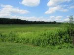 Green Meadow In Outdoors Stock Photo