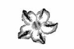 Sketch Of A Flower Stock Photo