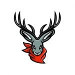 Jackalope Wearing Bandanna Mascot Stock Photo