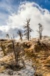 Mammoth Hot Springs Stock Photo