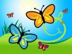 Butterfly In Summer Indicates Warmth Warm And Summertime Stock Photo