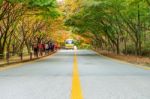 Naejangsan,korea - November 1: Tourists Taking Photos Of The Beautiful Scenery Around Naejangsan Park,south Korea During Autumn Season On November 1, 2015 Stock Photo