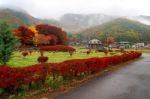 Maple Corridor And Local House In Kawaguchiko Stock Photo