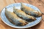 Mackerel Stock Photo