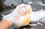 Hand Washing Brown Car With Blue Sponge And Bubbles Stock Photo