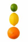 Citrus Fruits Stock Photo