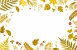 Frame From Yellow Leaves And Dry Leaves And Flower On White Background Stock Photo