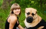 Young Blond Woman With Her Dog Stock Photo