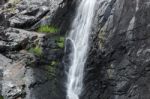 Cedar Creek Falls In Mount Tamborine Stock Photo