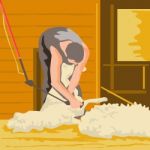 Farmer Farmworker Shearing Sheep Wpa Stock Photo