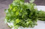 Coriander Close Up, Thai Tradition Herb And Vegetable Stock Photo