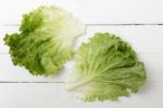 Fresh Lettuce Leaf Isolated On White Stock Photo