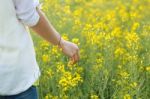 Beautiful Young Woman Enjoying Summer In A Field Stock Photo