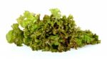 Lettuce Isolated On The White Background Stock Photo