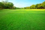 Beautiful Morning Light In Public Park With Green Grass Field An Stock Photo