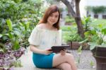 Portrait Of Thai Adult Businesswoman Beautiful Girl Using Her Tablet Stock Photo