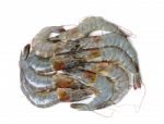 Raw Shrimp Isolated On The Whtie Background Stock Photo